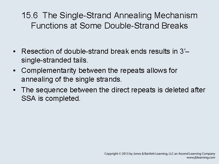 15. 6 The Single-Strand Annealing Mechanism Functions at Some Double-Strand Breaks • Resection of