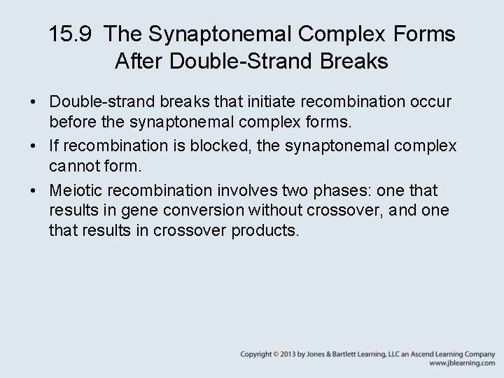 15. 9 The Synaptonemal Complex Forms After Double-Strand Breaks • Double-strand breaks that initiate