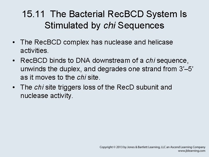 15. 11 The Bacterial Rec. BCD System Is Stimulated by chi Sequences • The