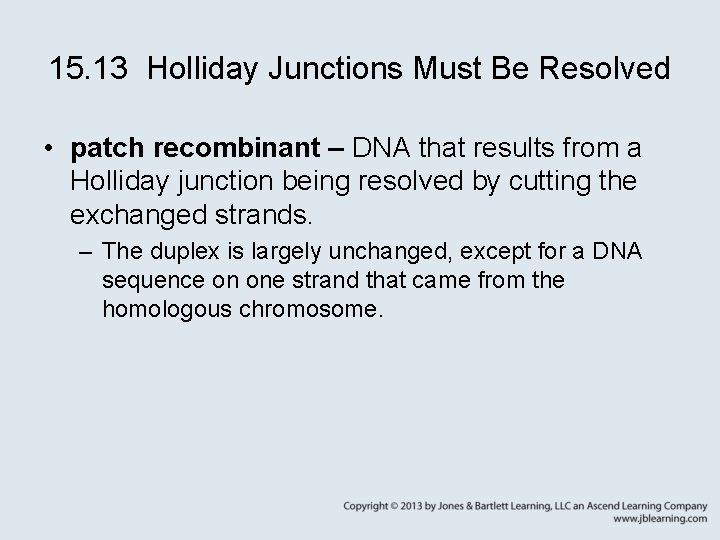 15. 13 Holliday Junctions Must Be Resolved • patch recombinant – DNA that results