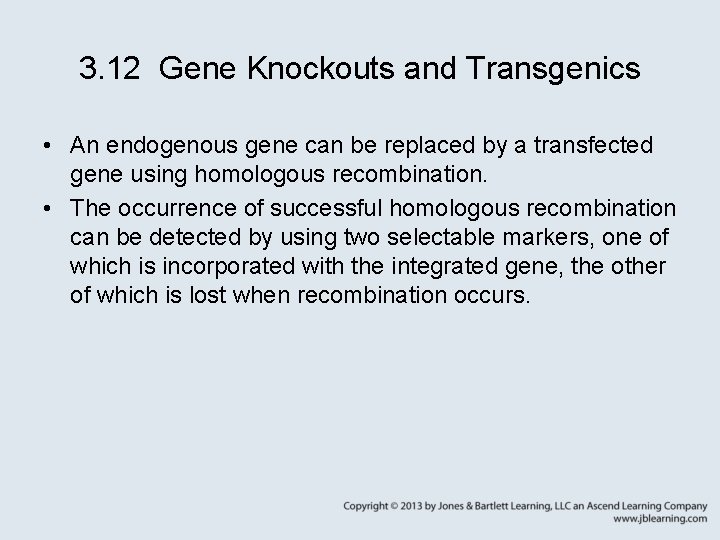 3. 12 Gene Knockouts and Transgenics • An endogenous gene can be replaced by