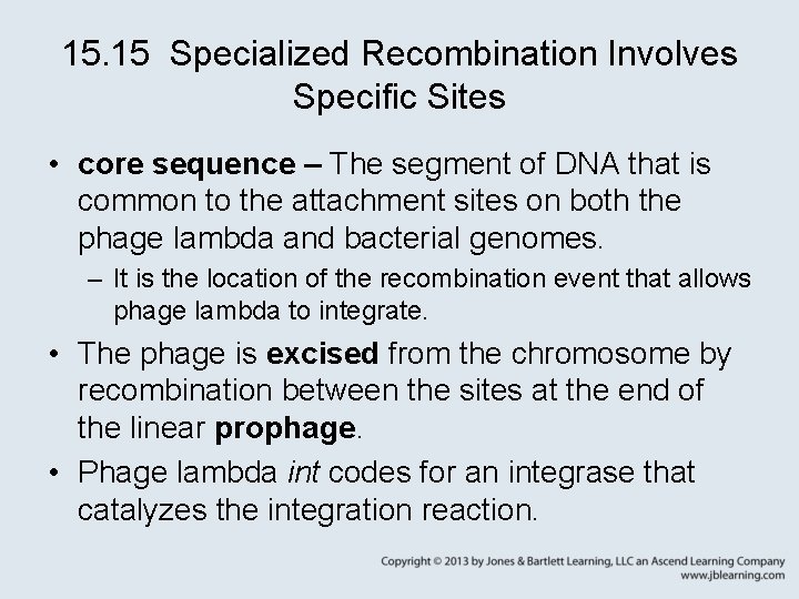 15. 15 Specialized Recombination Involves Specific Sites • core sequence – The segment of