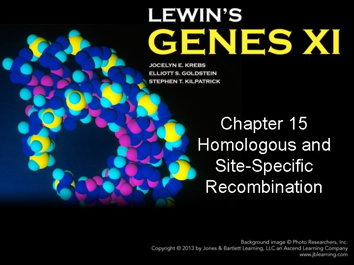 Chapter 15 Homologous and Site-Specific Recombination 