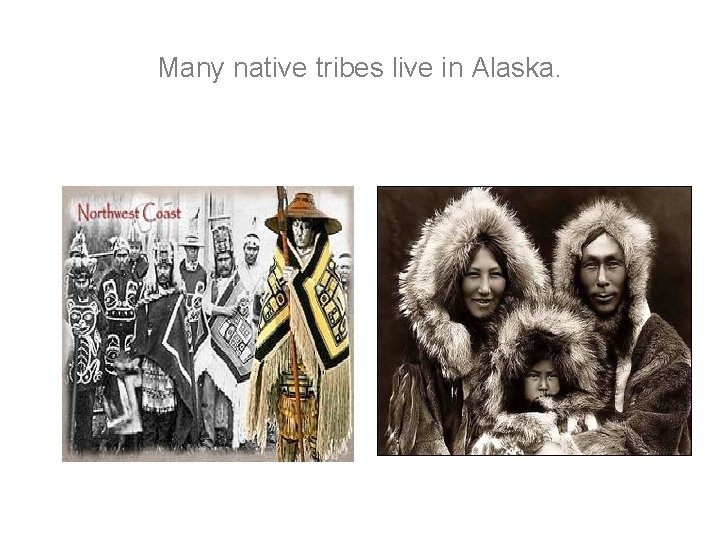 Many native tribes live in Alaska. Many native tribes live in Alaska.