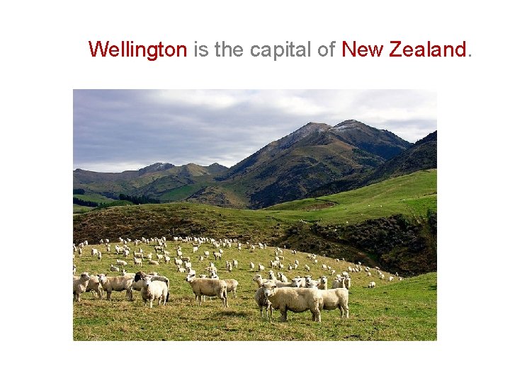 Wellington is the capital of New Zealand. Wellington is the capital of New Zealand.