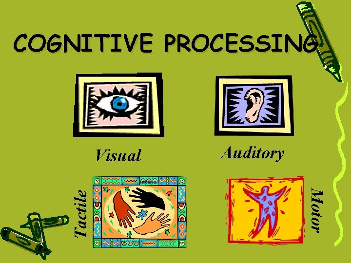 COGNITIVE PROCESSING Auditory Motor Tactile Visual COGNITIVE PROCESSING Auditory Motor Tactile Visual