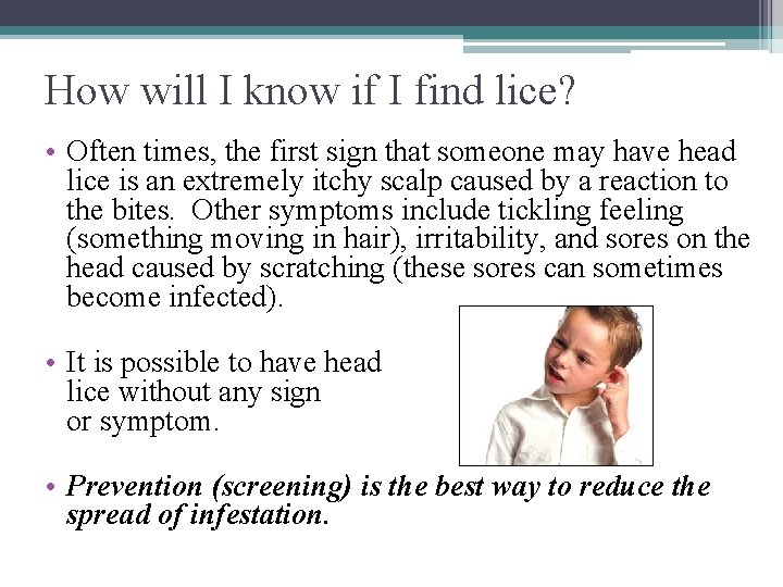 How will I know if I find lice? • Often times, the first sign