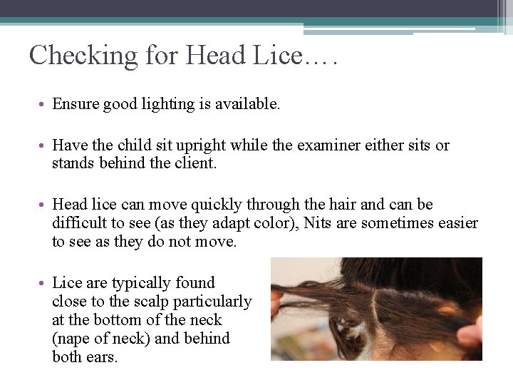 Checking for Head Lice…. • Ensure good lighting is available. • Have the child