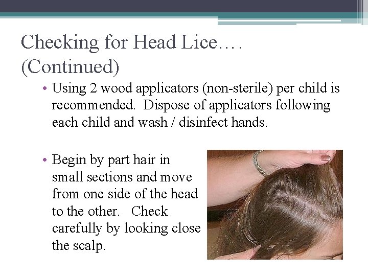 Checking for Head Lice…. (Continued) • Using 2 wood applicators (non-sterile) per child is