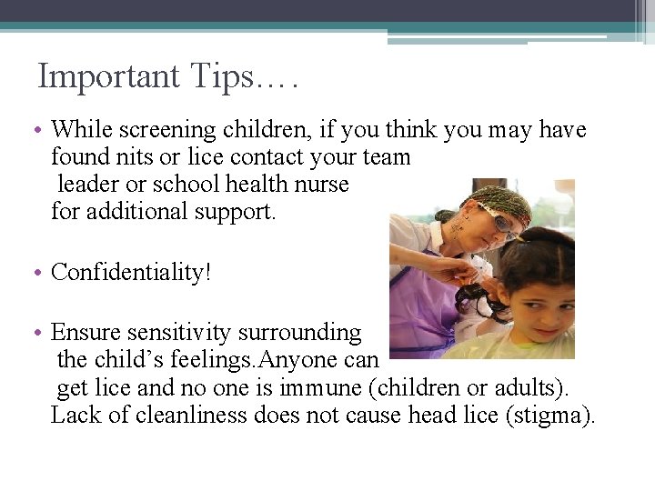 Important Tips…. • While screening children, if you think you may have found nits