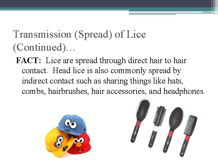 Transmission (Spread) of Lice (Continued)… FACT: Lice are spread through direct hair to hair