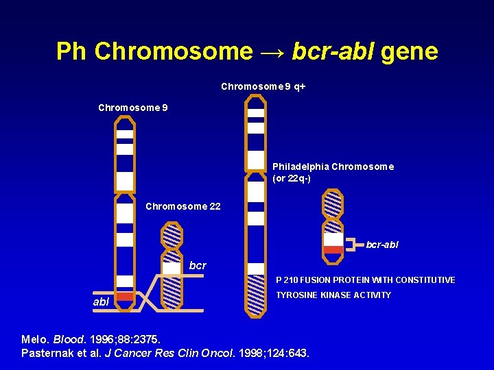 Ph Chromosome → bcr-abl gene Chromosome 9 q+ Chromosome 9 Philadelphia Chromosome (or 22 Ph Chromosome → bcr-abl gene Chromosome 9 q+ Chromosome 9 Philadelphia Chromosome (or 22