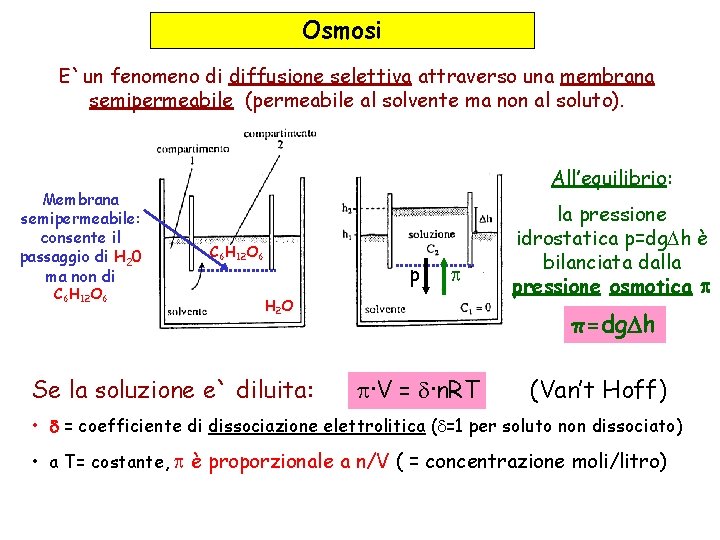 Osmosi E`un fenomeno di diffusione selettiva attraverso una membrana semipermeabile (permeabile al solvente ma Osmosi E`un fenomeno di diffusione selettiva attraverso una membrana semipermeabile (permeabile al solvente ma