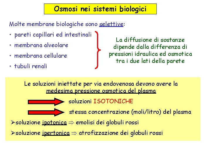 Osmosi nei sistemi biologici Molte membrane biologiche sono selettive: • pareti capillari ed intestinali Osmosi nei sistemi biologici Molte membrane biologiche sono selettive: • pareti capillari ed intestinali