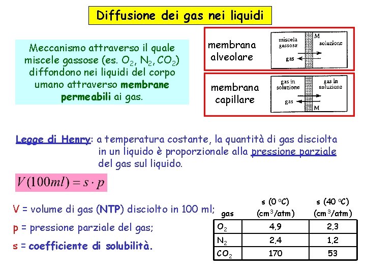 Diffusione dei gas nei liquidi Meccanismo attraverso il quale miscele gassose (es. O 2, Diffusione dei gas nei liquidi Meccanismo attraverso il quale miscele gassose (es. O 2,