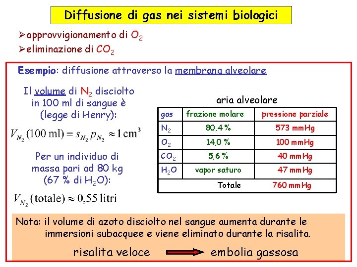 Diffusione di gas nei sistemi biologici Øapprovvigionamento di O 2 Øeliminazione di CO 2 Diffusione di gas nei sistemi biologici Øapprovvigionamento di O 2 Øeliminazione di CO 2