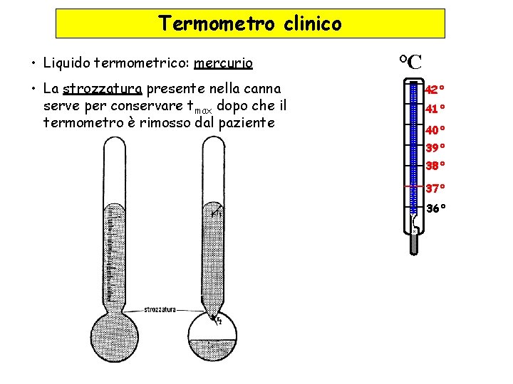 Termometro clinico • Liquido termometrico: mercurio • La strozzatura presente nella canna serve per Termometro clinico • Liquido termometrico: mercurio • La strozzatura presente nella canna serve per