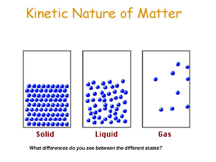 Kinetic Nature of Matter What differences do you see between the different states? 