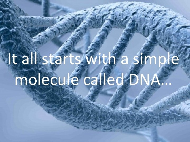 It all starts with a simple molecule called DNA… 