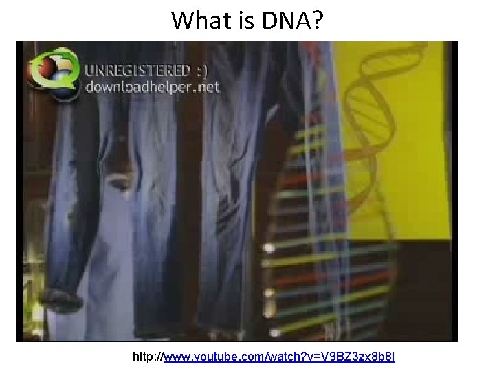 What is DNA? http: //www. youtube. com/watch? v=V 9 BZ 3 zx 8 b