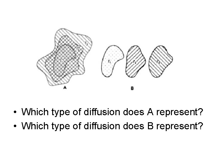  • Which type of diffusion does A represent? • Which type of diffusion