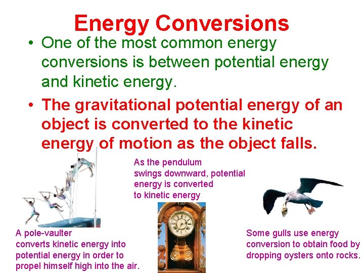 Energy Conversions • One of the most common energy conversions is between potential energy