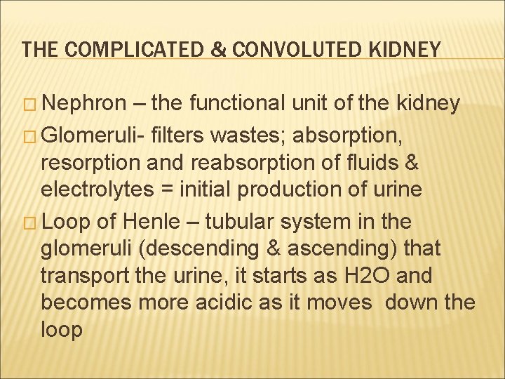THE COMPLICATED & CONVOLUTED KIDNEY � Nephron – the functional unit of the kidney