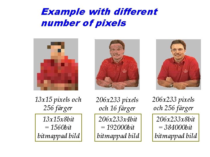 Example with different number of pixels 13 x 15 pixels och 256 färger 206