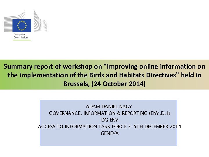 Summary report of workshop on "Improving online information on the implementation of the Birds