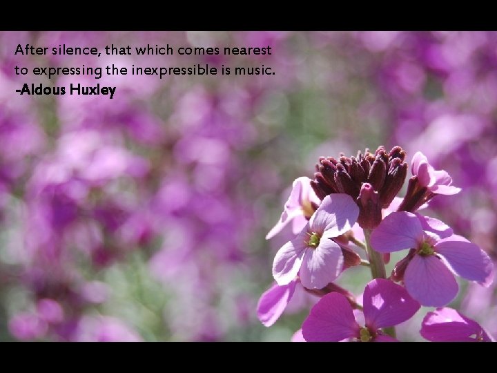 After silence, that which comes nearest to expressing the inexpressible is music. -Aldous Huxley