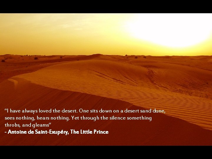 “I have always loved the desert. One sits down on a desert sand dune,