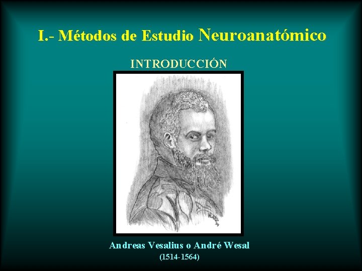 I. - Métodos de Estudio Neuroanatómico INTRODUCCIÓN Andreas Vesalius o André Wesal (1514 -1564)