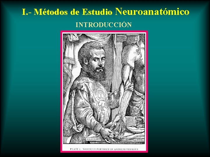 I. - Métodos de Estudio Neuroanatómico INTRODUCCIÓN 