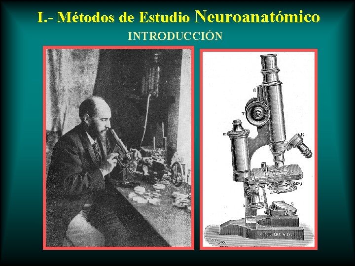 I. - Métodos de Estudio Neuroanatómico INTRODUCCIÓN 