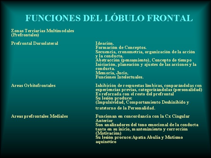 FUNCIONES DEL LÓBULO FRONTAL Zonas Terciarias Multimodales (Prefrontales) Prefrontal Dorsolateral Ideación. Formación de Conceptos.