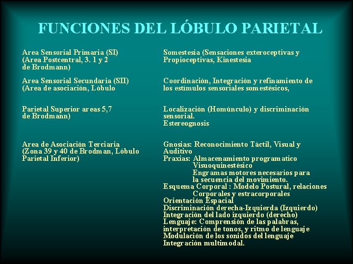 FUNCIONES DEL LÓBULO PARIETAL Area Sensorial Primaria (SI) (Area Postcentral, 3. 1 y 2