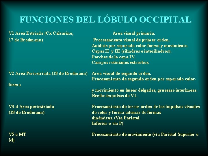 FUNCIONES DEL LÓBULO OCCIPITAL V 1 Area Estriada (Cx Calcarino, 17 de Brodmann) Area