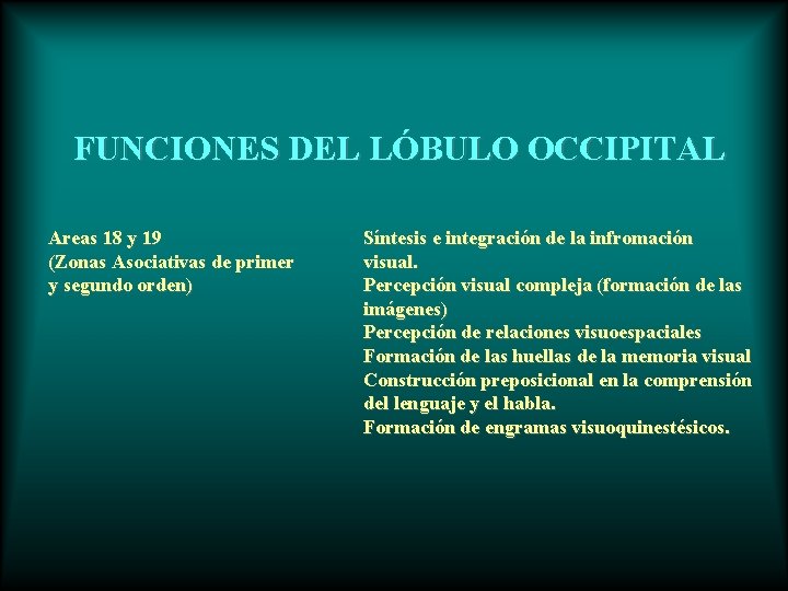 FUNCIONES DEL LÓBULO OCCIPITAL Areas 18 y 19 (Zonas Asociativas de primer y segundo