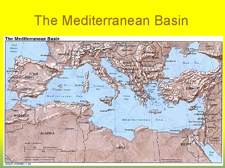 The Mediterranean Basin 