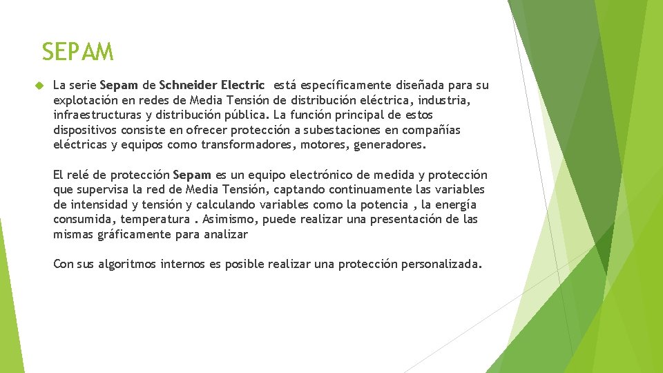 SEPAM La serie Sepam de Schneider Electric está específicamente diseñada para su explotación en