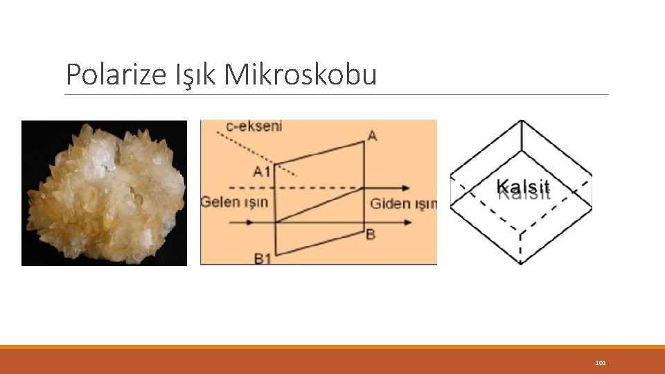 Polarize Işık Mikroskobu 101 Polarize Işık Mikroskobu 101
