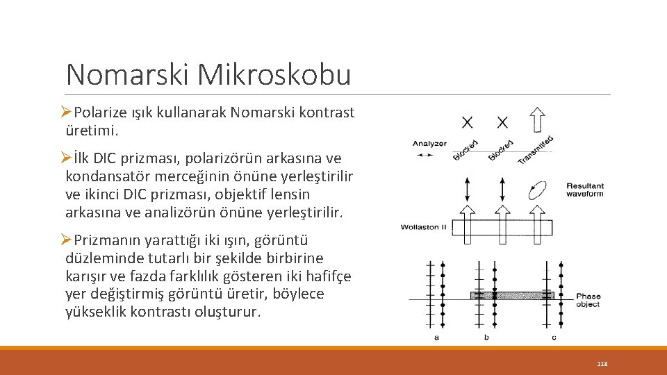 Nomarski Mikroskobu ØPolarize ışık kullanarak Nomarski kontrast üretimi. Øİlk DIC prizması, polarizörün arkasına ve Nomarski Mikroskobu ØPolarize ışık kullanarak Nomarski kontrast üretimi. Øİlk DIC prizması, polarizörün arkasına ve
