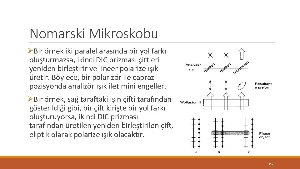 Nomarski Mikroskobu ØBir örnek iki paralel arasında bir yol farkı oluşturmazsa, ikinci DIC prizması Nomarski Mikroskobu ØBir örnek iki paralel arasında bir yol farkı oluşturmazsa, ikinci DIC prizması