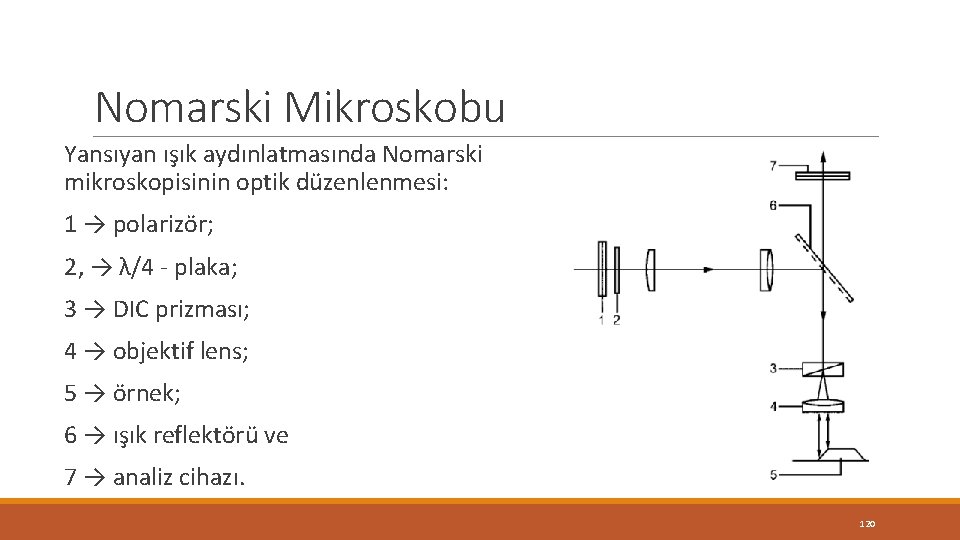 Nomarski Mikroskobu Yansıyan ışık aydınlatmasında Nomarski mikroskopisinin optik düzenlenmesi: 1 → polarizör; 2, → Nomarski Mikroskobu Yansıyan ışık aydınlatmasında Nomarski mikroskopisinin optik düzenlenmesi: 1 → polarizör; 2, →