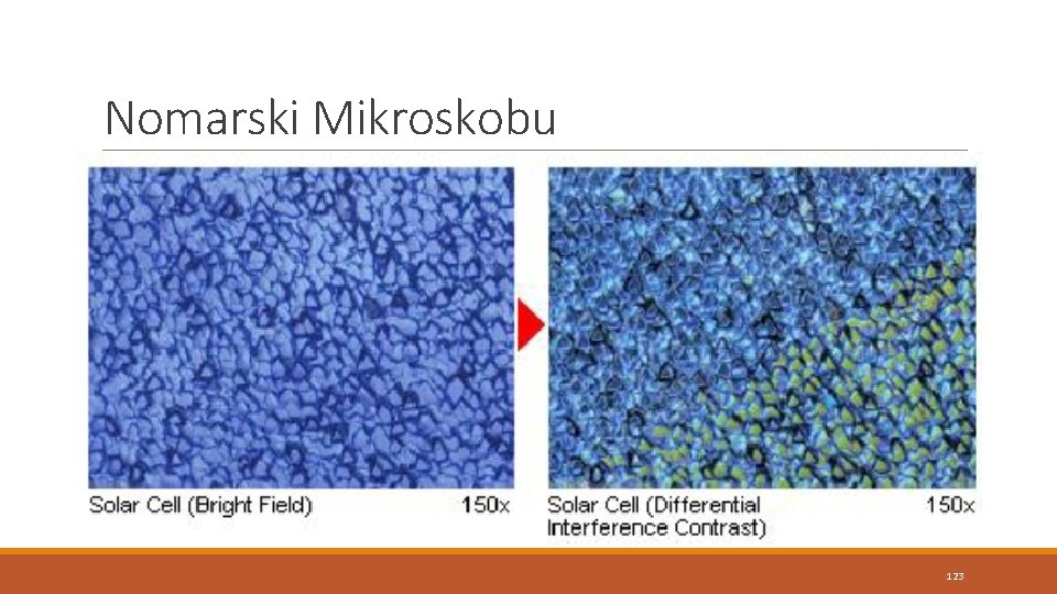 Nomarski Mikroskobu 123 Nomarski Mikroskobu 123