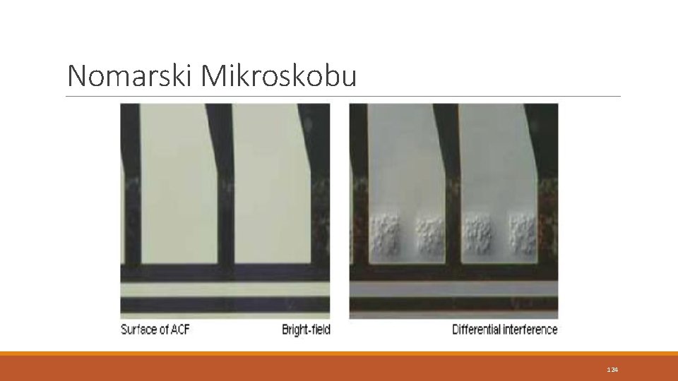 Nomarski Mikroskobu 124 Nomarski Mikroskobu 124