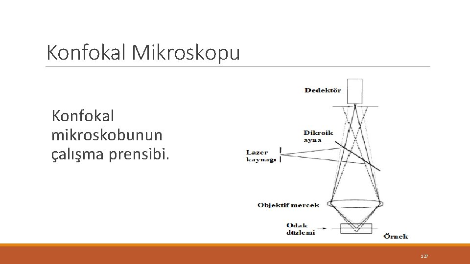Konfokal Mikroskopu Konfokal mikroskobunun çalışma prensibi. 127 Konfokal Mikroskopu Konfokal mikroskobunun çalışma prensibi. 127