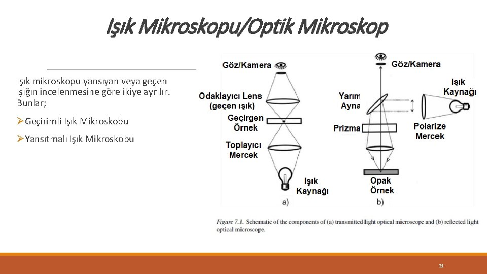 Işık Mikroskopu/Optik Mikroskop Işık mikroskopu yansıyan veya geçen ışığın incelenmesine göre ikiye ayrılır. Bunlar; Işık Mikroskopu/Optik Mikroskop Işık mikroskopu yansıyan veya geçen ışığın incelenmesine göre ikiye ayrılır. Bunlar;