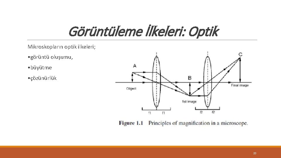 Görüntüleme İlkeleri: Optik Mikroskopların optik ilkeleri; • görüntü oluşumu, • büyütme • çözünürlük 23 Görüntüleme İlkeleri: Optik Mikroskopların optik ilkeleri; • görüntü oluşumu, • büyütme • çözünürlük 23
