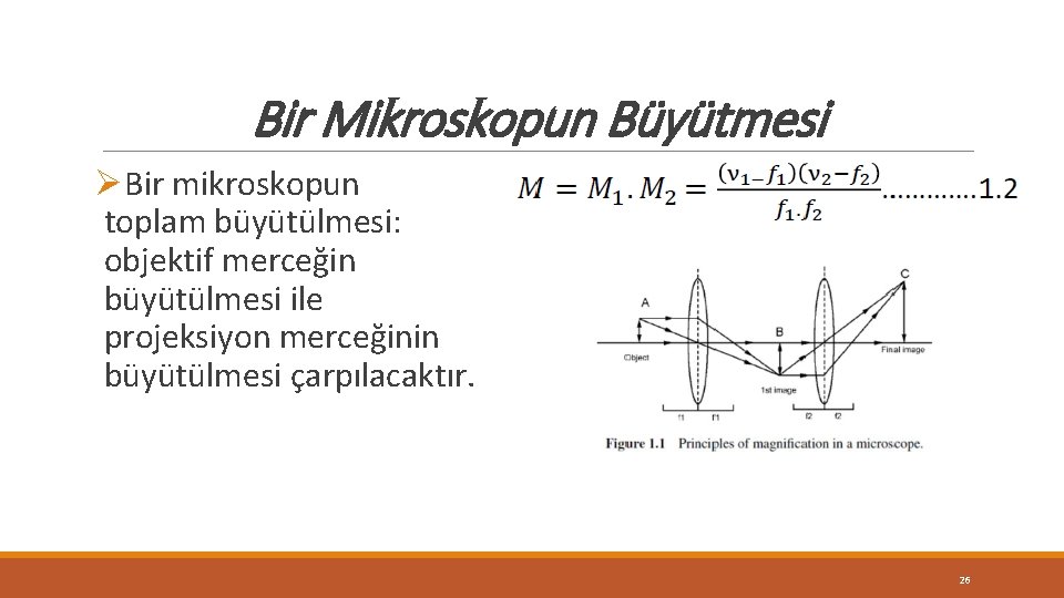 Bir Mikroskopun Büyütmesi ØBir mikroskopun toplam büyütülmesi: objektif merceğin büyütülmesi ile projeksiyon merceğinin büyütülmesi Bir Mikroskopun Büyütmesi ØBir mikroskopun toplam büyütülmesi: objektif merceğin büyütülmesi ile projeksiyon merceğinin büyütülmesi